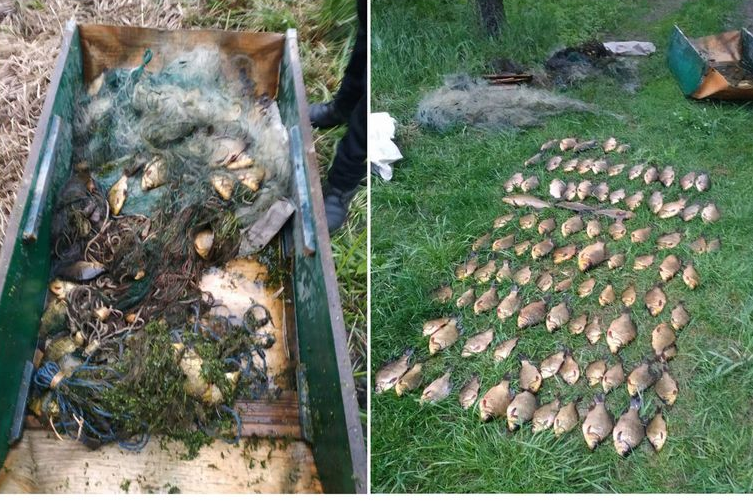 На Борзнянщині викрито браконьєра з 21 кг незаконно добутої риби