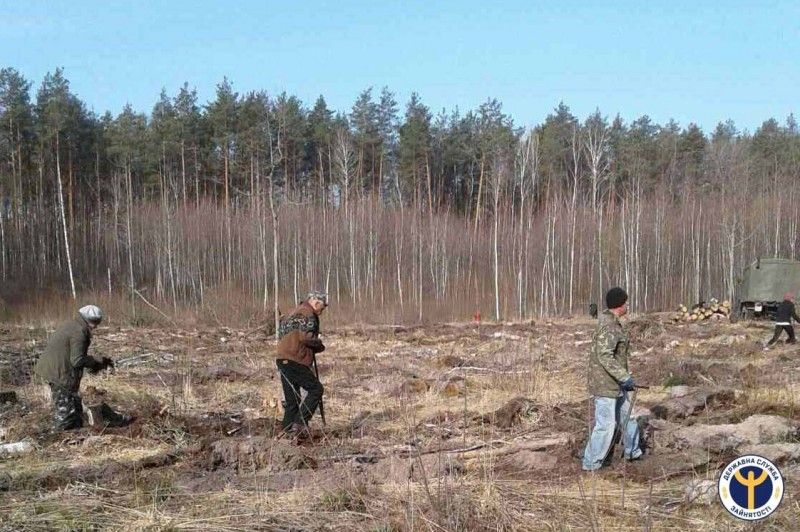На Чернігівщині безробітні на громадських роботах збирали макулатуру, садили ліс та оформляли субсидії