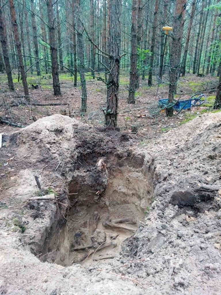 «Пограбували двічі»: пошкоджені мародерами могили воїнів знайшли на Чернігівщині