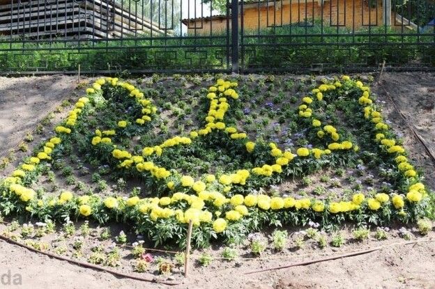 Одну з вулиць Ніжина прикрасив квітковий тризуб