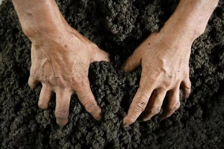 Афери агробаронів: наївні жителі Бахмаччини віддають свою землю за пайові незібраного врожаю