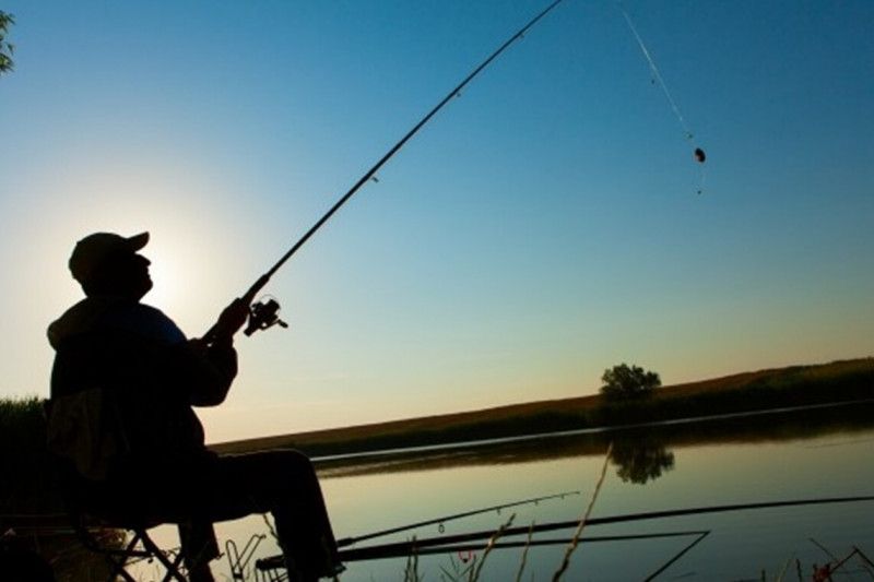 Риболовля на Чернігівщині мовою цифр