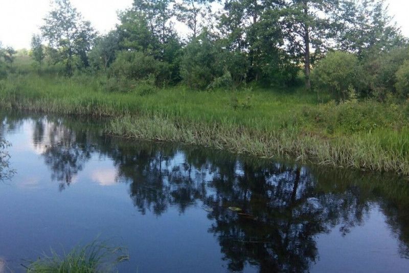 З річки на Чернігівщині підняли тіло жінки