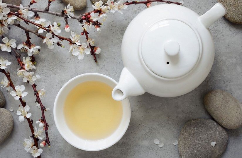 Белый чай: полезные свойства и технология создания