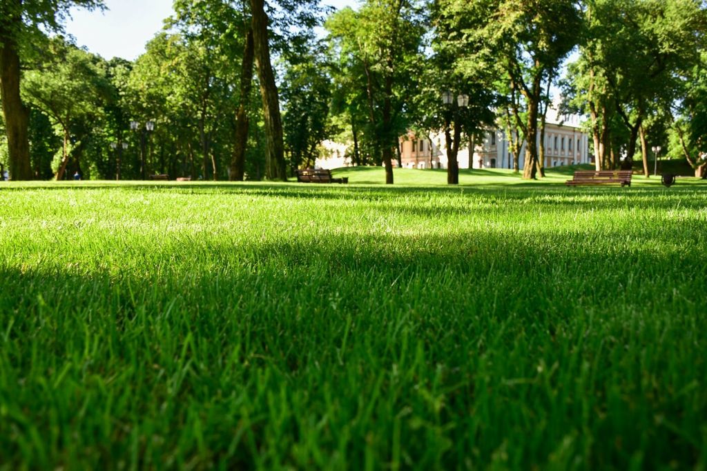 Чернігів перетворює територію стародавнього Дитинця на парк європейського рівня