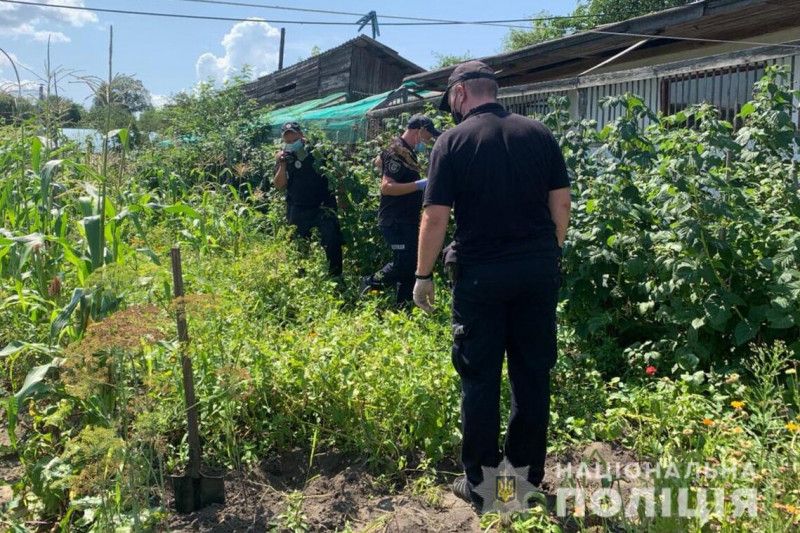 На Чернігівщині поліцейські ліквідували понад 300 наркомістких рослин