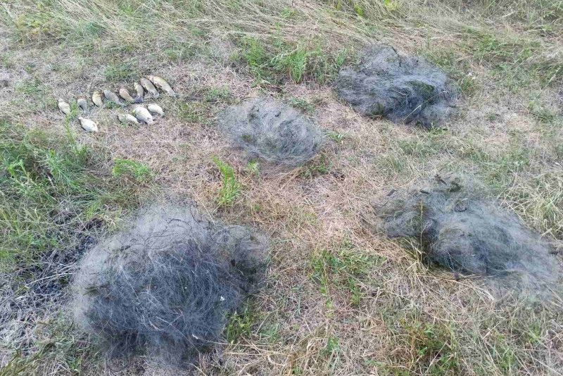 В Городнянському та Чернігівському районах виявлено рибаків-порушників