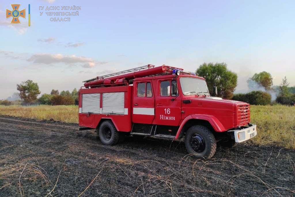 На Чернігівщині згоріло 55 га пшениці (ФОТО)