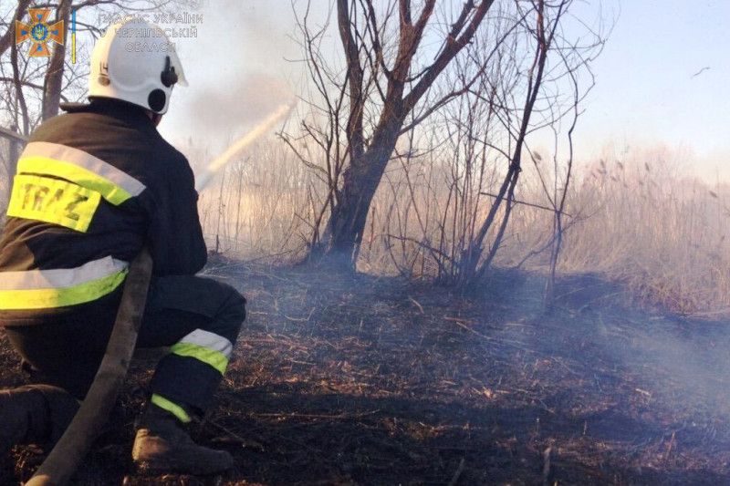 Впродовж минулої доби рятувальники Чернігівщини ліквідували 9 пожеж у природних екосистемах