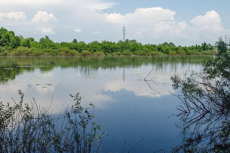 У водоймі на Чернігівщині виявили ще одного потопельника