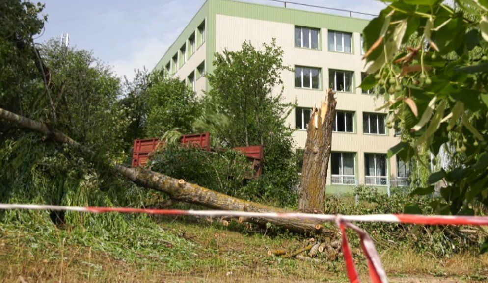 Негода у Чернігові: скільки шкоди наробив буревій на ЗАЗі