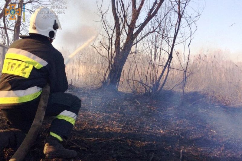 За минулу добу рятувальники ліквідували 10 пожеж в області