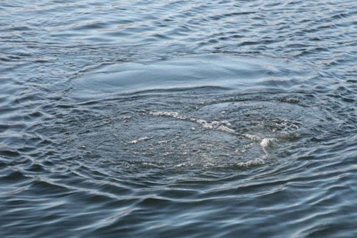 На Чернігівщині у річці потонула жінка