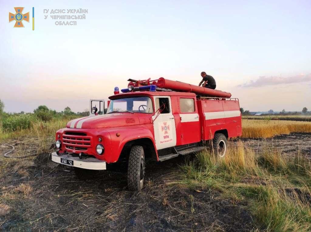 На Чернігівщині згоріло 55 га пшениці (ФОТО)