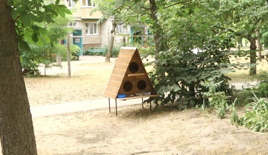 Будинок для котів: як чотирилапих рятують від спеки на вулиці Рокоссовського