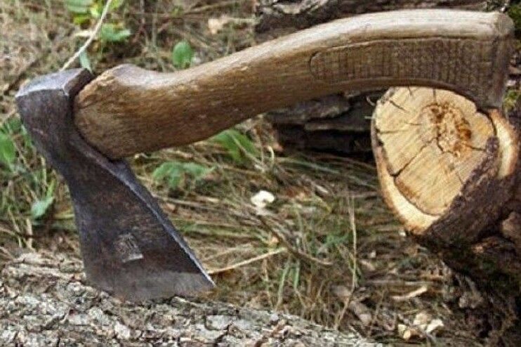 53 тис. грн сплатить лісгосп за незаконні порубки дерев