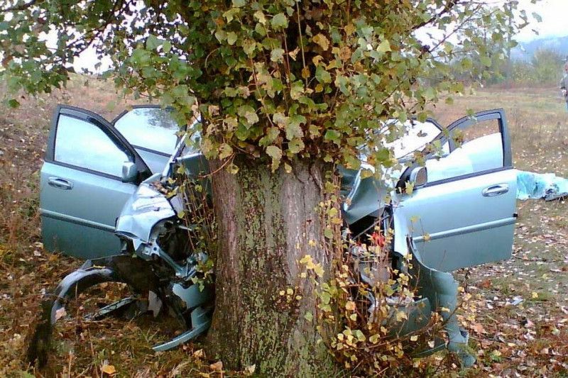 На Чернігівщині автівка врізалася в дерево: двоє загиблих