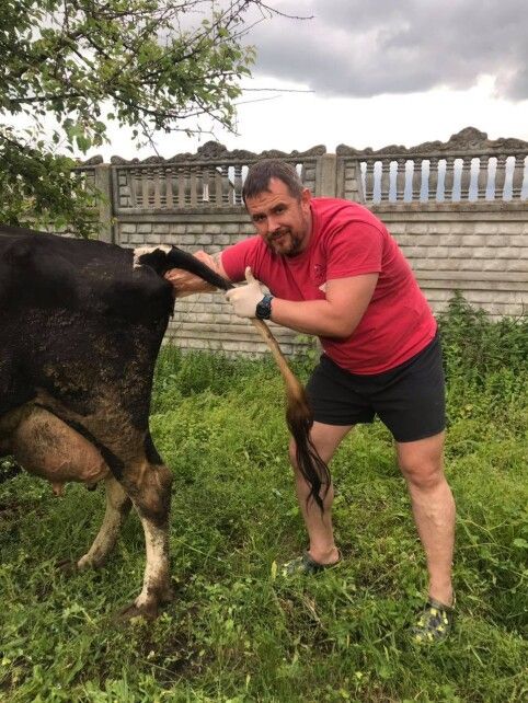 На Чернігівщині чоловік купив ферму, торгує органічним молоком і навчає через YouTube-канал секретів фермерства