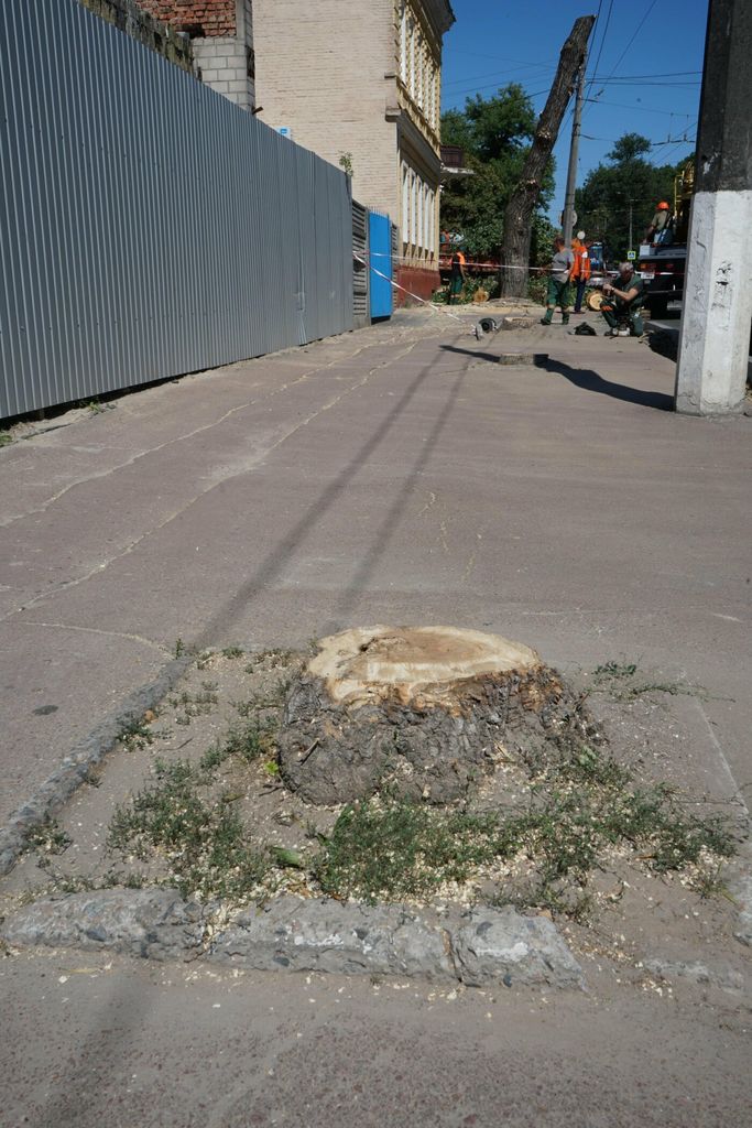 «Останній герой»: біля чернігівського СБУ лишилося тільки одне дерево