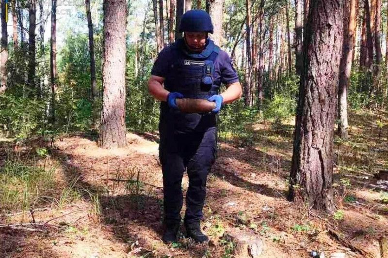 Піротехніки Чернігівщини знищили два вибухонебезпечні предмети