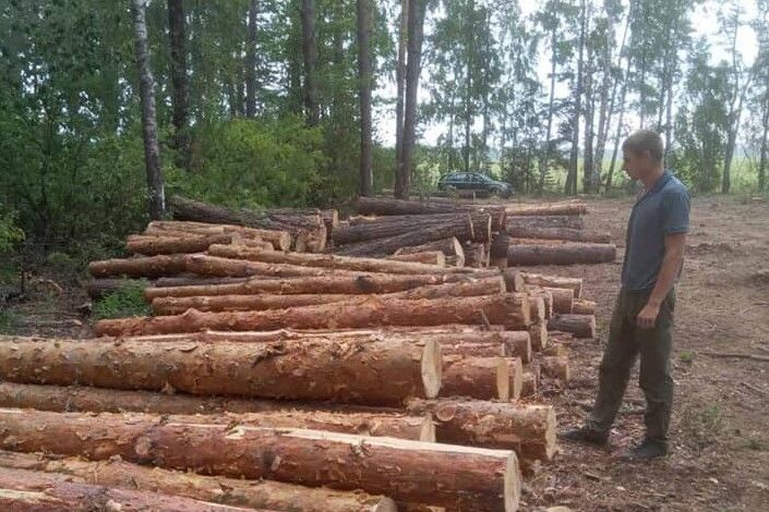 На Ніжинщині виявили крадіжку лісу