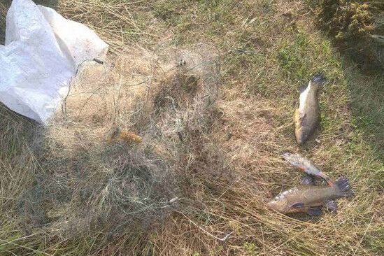 Рибпатрулем Чернігівщини за тиждень викрито 28 порушень Правил рибальства