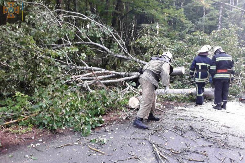 Упродовж минулої доби рятувальники Чернігівщини двічі прибирали повалені дерева з доріг
