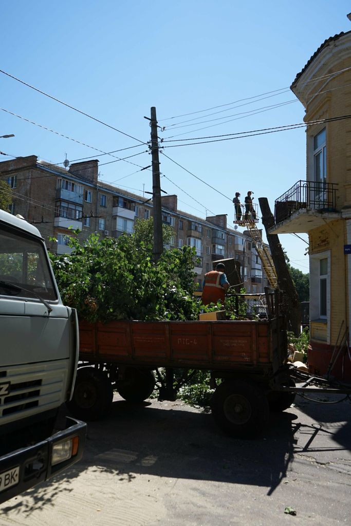 «Останній герой»: біля чернігівського СБУ лишилося тільки одне дерево