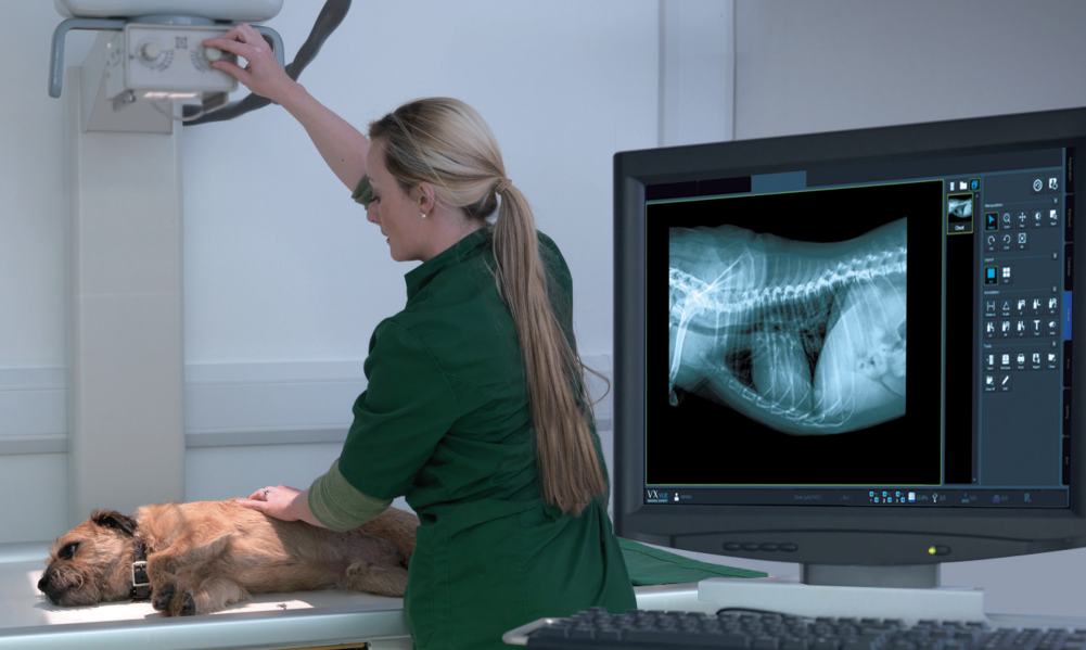 Где купить рентген аппараты для ветеринарии?