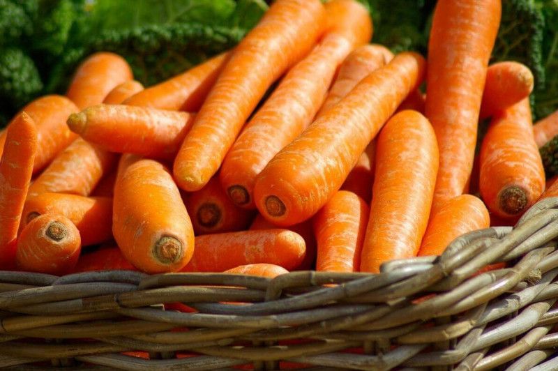 Жінка з Чернігівщини виростила гігантську моркву