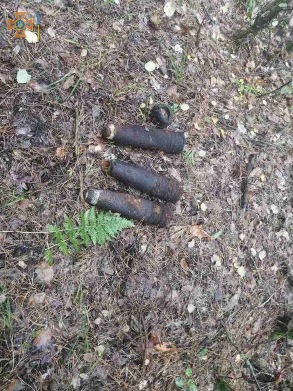 У Чернігівському районі піротехніки знищили артилерійські снаряди часів Другої світової війни
