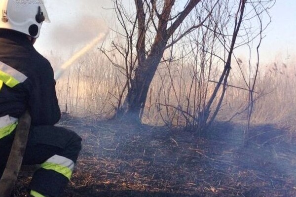 Упродовж минулої доби рятувальники Чернігівщини ліквідували 6 пожеж у природних екосистемах
