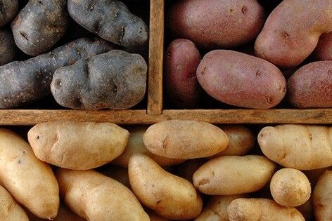 Вартість картоплі на Чернігівщині: фермери озвучили компромісну ціну