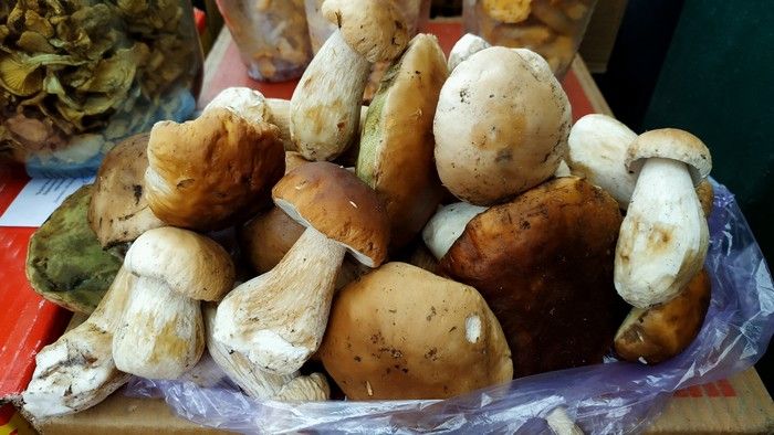 Центральний ринок тішить вибором осінніх грибів, ягід та овочів. Що і за яку ціну?