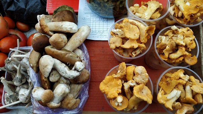 На Центральном рынке можно запастись грибами и овощами на зиму. Обзор цен на продукты питания - новости Чернигова