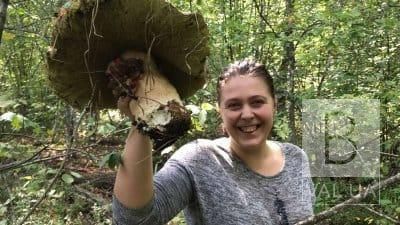 У лісі біля Голубих озер жінка знайшла білого гриба-гіганта