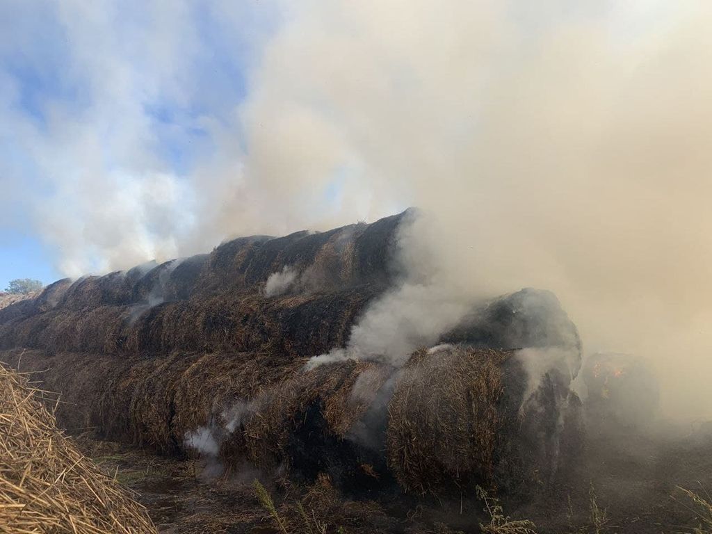 Необережне поводження з вогнем: у Чернігівському районі згоріли 17 тонн сіна. ФОТО