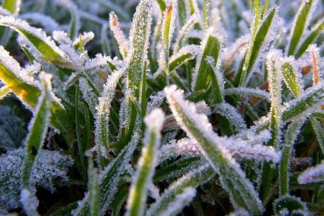 Нічні заморозки: синоптики розказали про погоду на вихідні та наступний тиждень