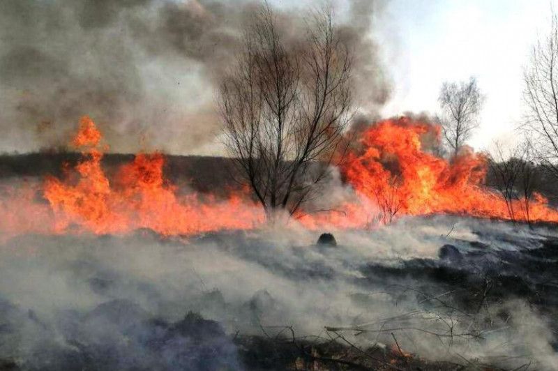 Вогнеборці Чернігівщини ліквідували 5 пожеж у природних екосистемах