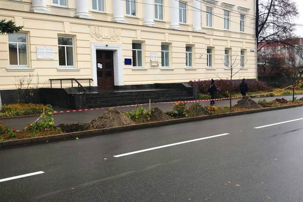 50 гостролистих кленів висадили по вулиці Шевченка. Ще 30 висадять до кінця тижня