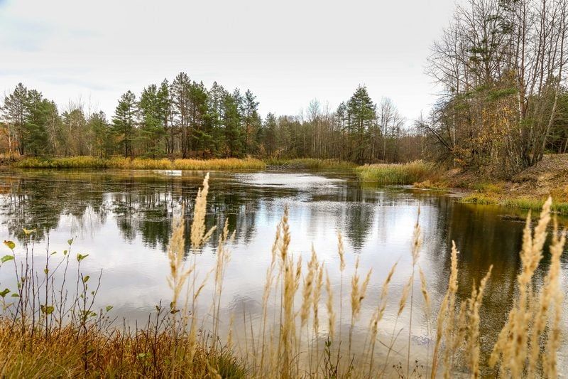В Олешні та околицях не 3 озера, а майже 20, – місцеві краєзнавці. ФОТО