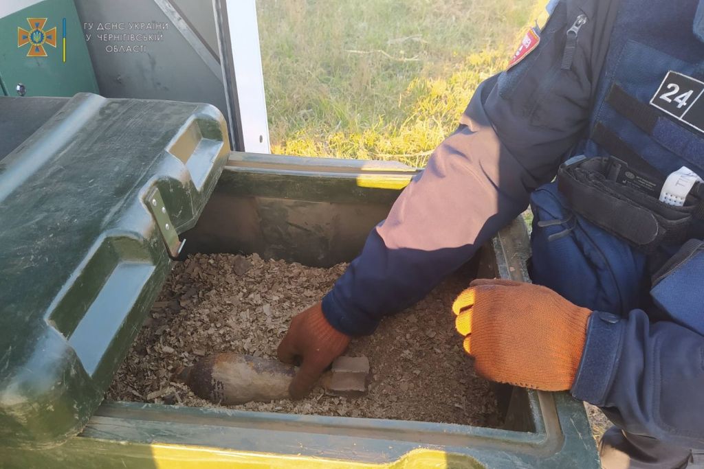 На Чернігівщині піротехніки знищили мінометну міну. ФОТО