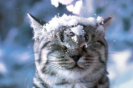 Чернігівські синоптики розповіли, чи варто очікувати снігу цього тижня