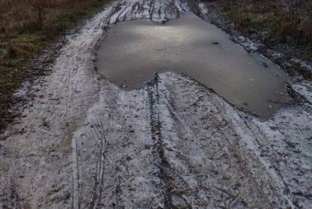На Чернігівщині випав перший сніг (Фотофакт)