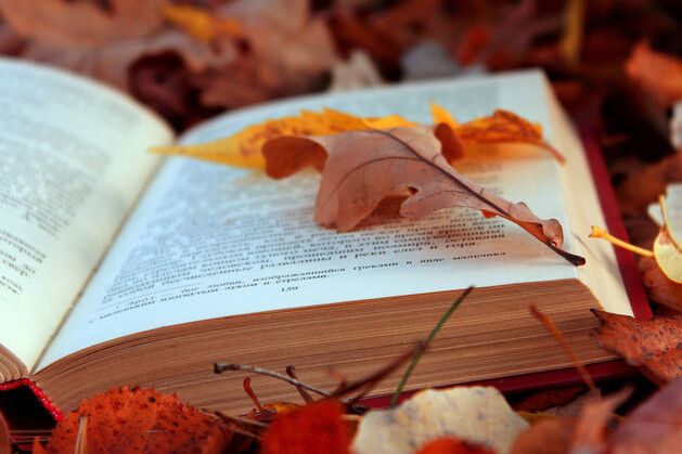 Настрій – осінь: що читають чернігівці