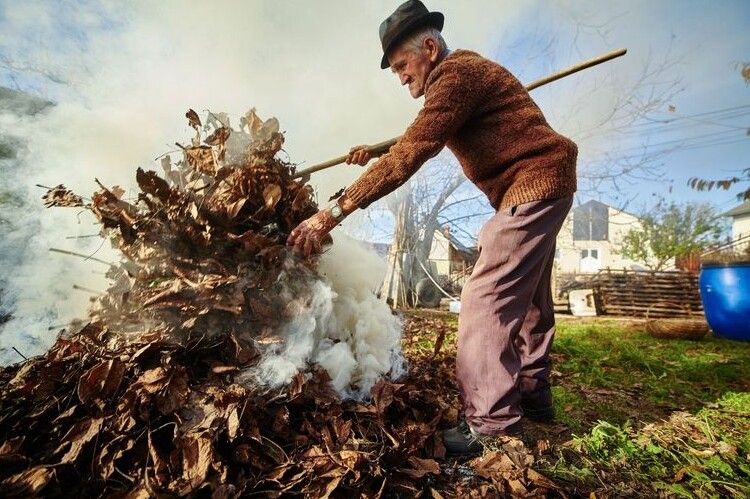 Негативна ознака осені: багаття з опалого листя продовжують горіти на Чернігівщині