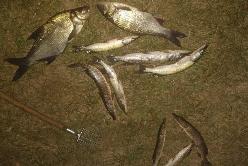Порушник з Куликівщини за допомогою остей наловив риби біш ніж на 30 тисяч гривень