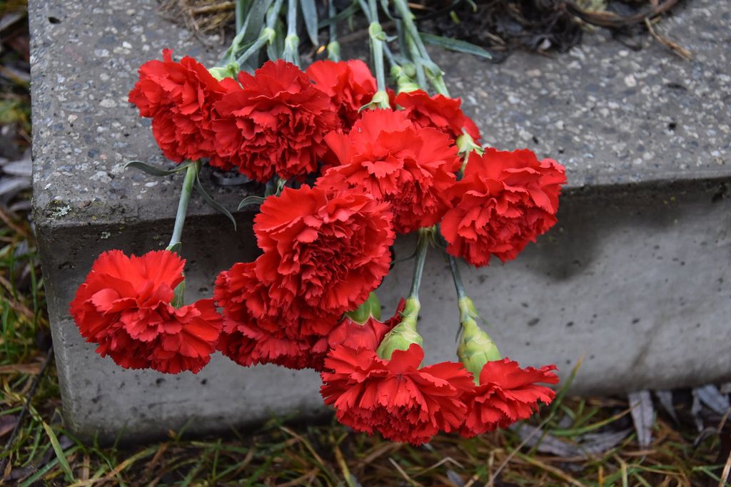 На Чернігівщині поховали невідомого солдата, який загинув під час боїв у 1941 році. ФОТО