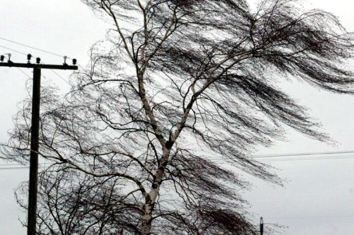 Негода залишила без електропостачання 23 населені пункти області