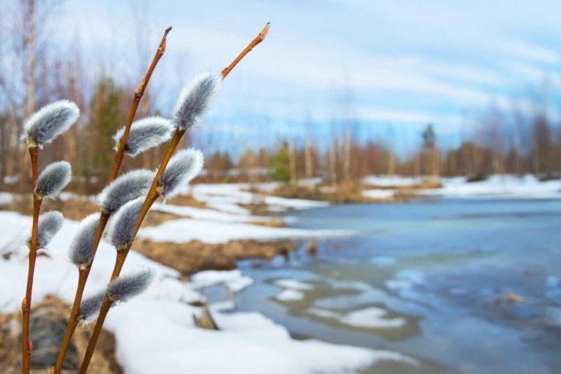 Перша половина січня на Чернігівщині прогнозується аномально теплою